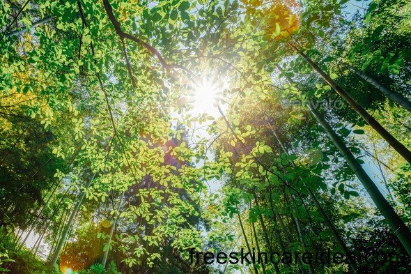 Best Ways To Get Free Skin Care